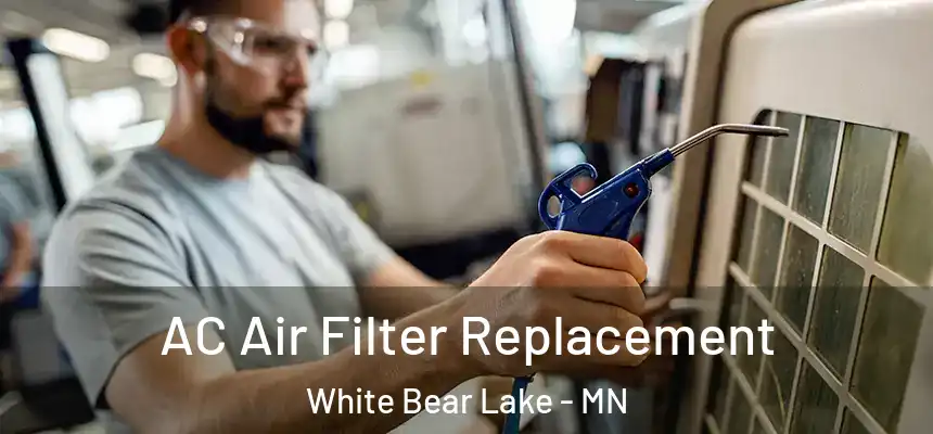 AC Air Filter Replacement White Bear Lake - MN