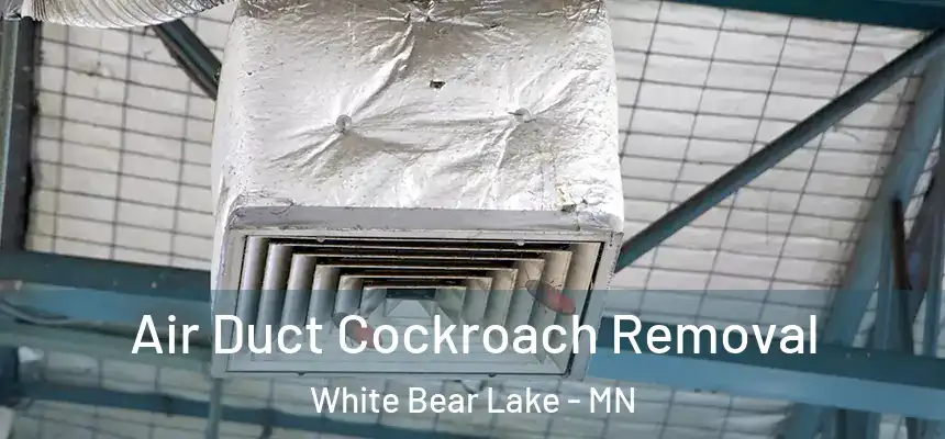 Air Duct Cockroach Removal White Bear Lake - MN