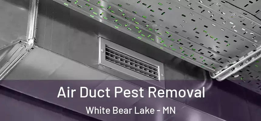 Air Duct Pest Removal White Bear Lake - MN