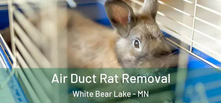  Air Duct Rat Removal White Bear Lake - MN