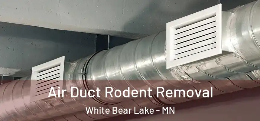 Air Duct Rodent Removal White Bear Lake - MN