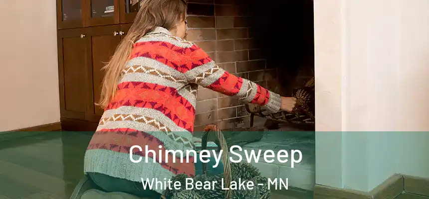 Chimney Sweep White Bear Lake - MN