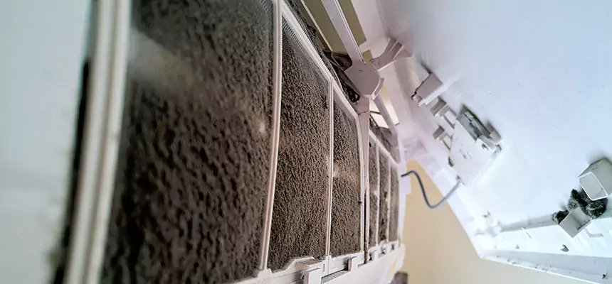 Preventive Air Duct Bacteria Removal in White Bear Lake