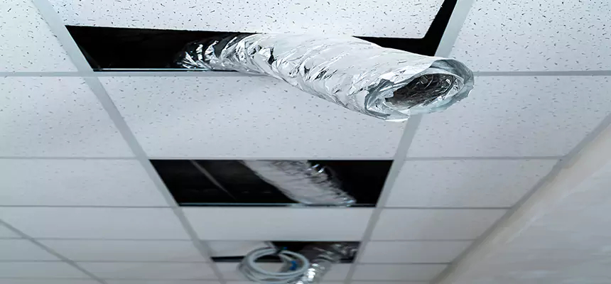 Affordable HVAC Sanitizing After Pest Removal in White Bear Lake