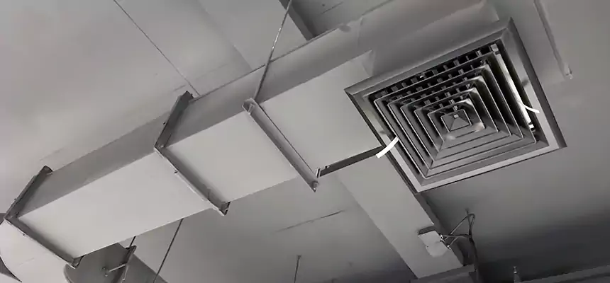 Restorative Allergy Relief Vent Cleaning – Coil, Blower & Housing Detail in White Bear Lake