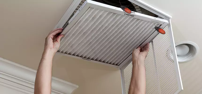 Our Insect Removal from Air Ducts Services in White Bear Lake, MN