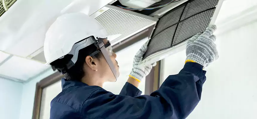 Our Mold & Mildew Removal from Air Ducts Services in White Bear Lake, MN