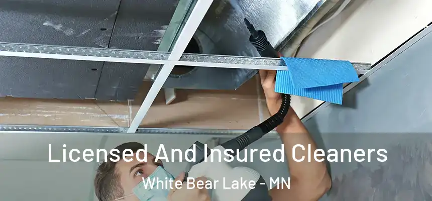 Licensed And Insured Cleaners White Bear Lake - MN