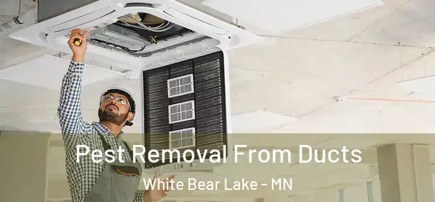 Pest Removal From Ducts White Bear Lake - MN