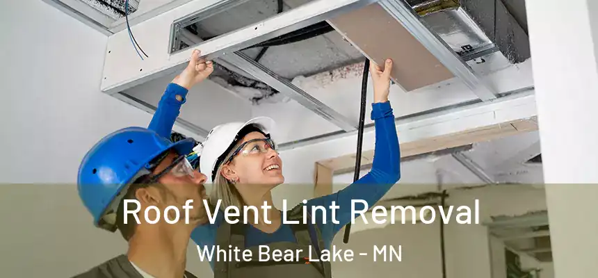 Roof Vent Lint Removal White Bear Lake - MN