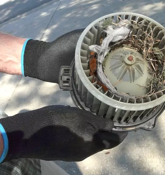 About Air Duct Mice Removal in White Bear Lake, MN