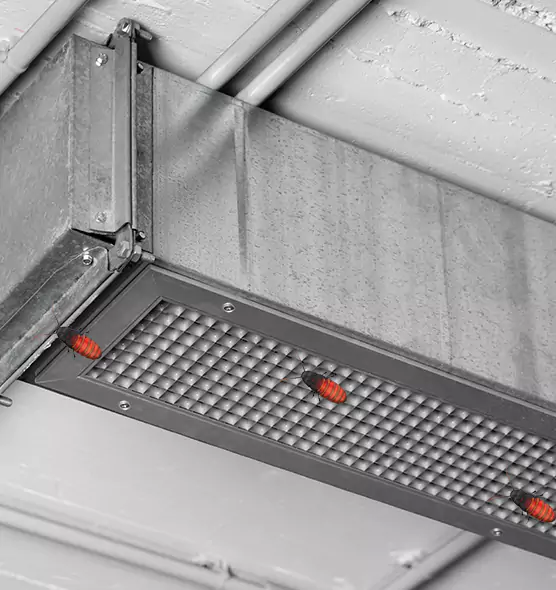 Affordable Insect Removal from Air Ducts in White Bear Lake, MN