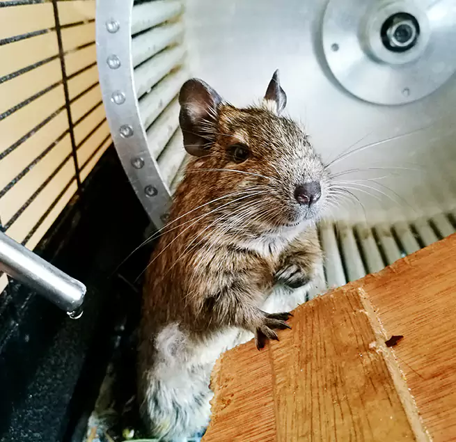 Why Homeowners & Businesses Trust Us White Bear Lake, MN?